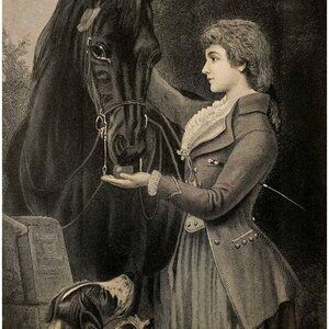 1881 Engraving Beautiful Woman Feeding Horse Selim Victorian Dogs Hardy DWQQ18